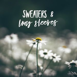 Sweaters, Coats, & Other long sleeved tops